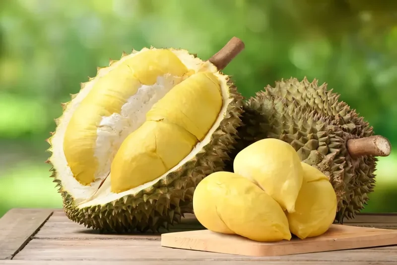 Durian, buah tropis kaya nutrisi, menawarkan berbagai manfaat kesehatan, mulai dari meningkatkan kekebalan tubuh hingga mendukung kesehatan jantung dan otak. Namun, konsumsi durian harus hati-hati jika dicampur alkohol untuk menghindari efek samping