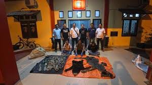 Ketiga tersangka perangkat Desa Sah Raja, Kecamatan Pante Bidari, Aceh Timur, yang terlibat dalam perdagangan organ Harimau Sumatera dan Beruang Madu, saat berada di kantor polisi setelah ditangkap.